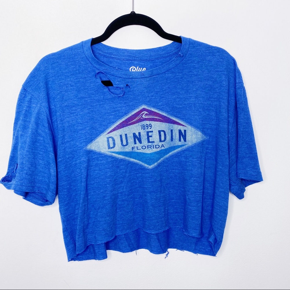 Distressed Cropped Graphic Tee